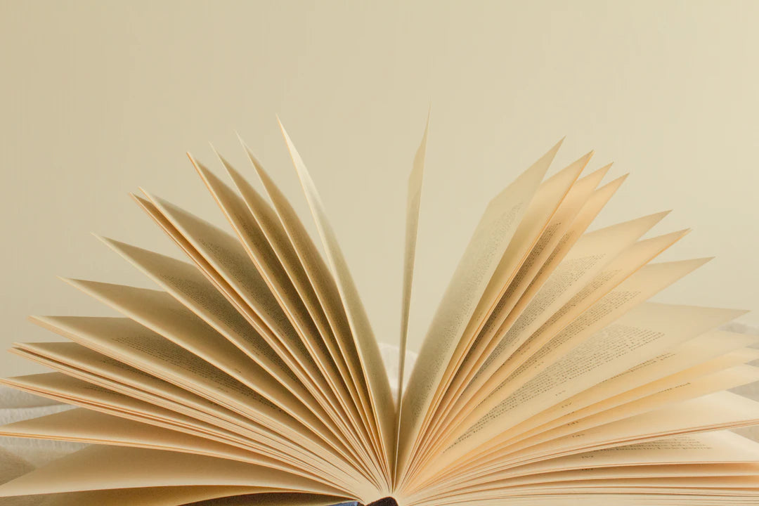 De waarde van literatuur in het taalonderwijs