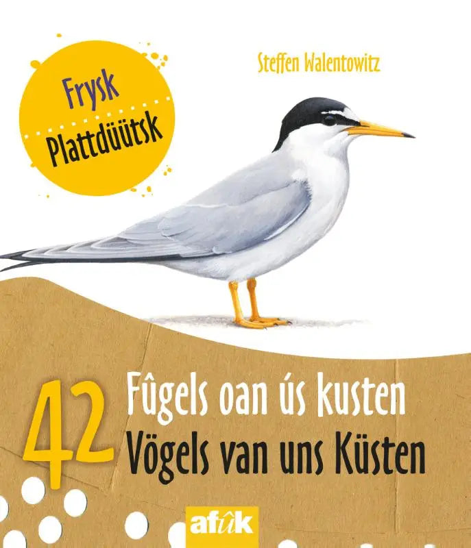 Illustratie van witte en grijze zeevogel met zwarte kop en gele snavel en poten uit fûgels oan ús kusten