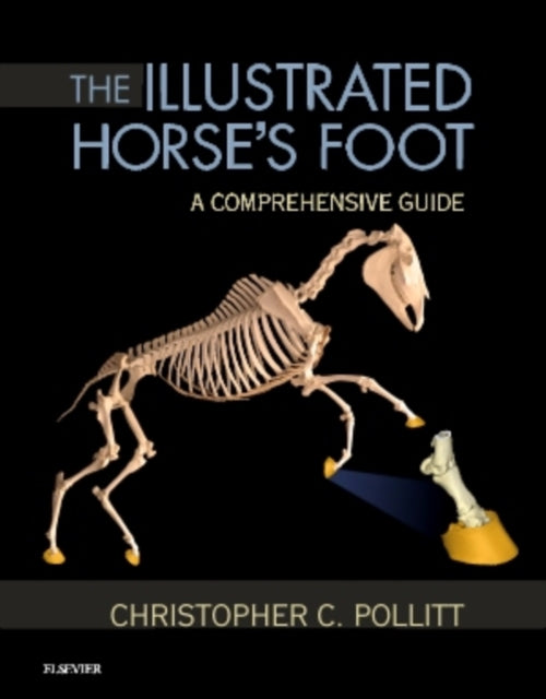 The Illustrated Horse's Foot: A comprehensive guide
