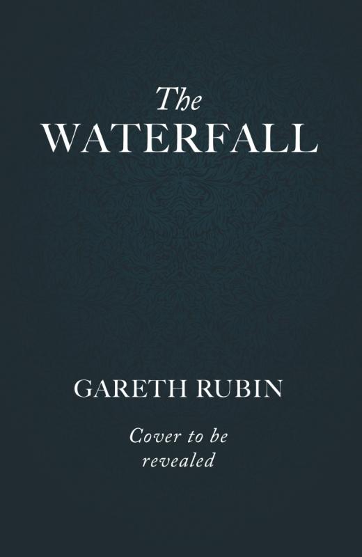 Waterfall - A beguiling and intricate mystery from Sunday Times bestselling author Gareth Rubin