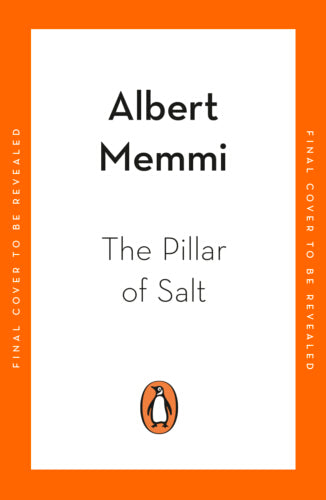 The Pillar of Salt – Paperback – ISBN 9781405987295