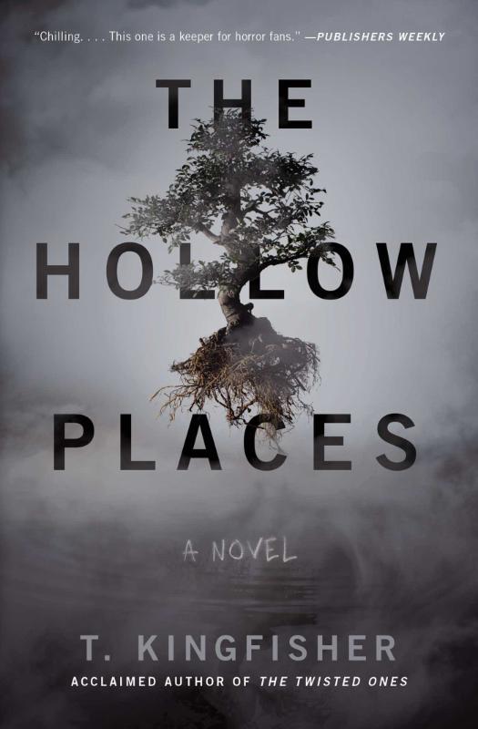 The Hollow Places - A Novel