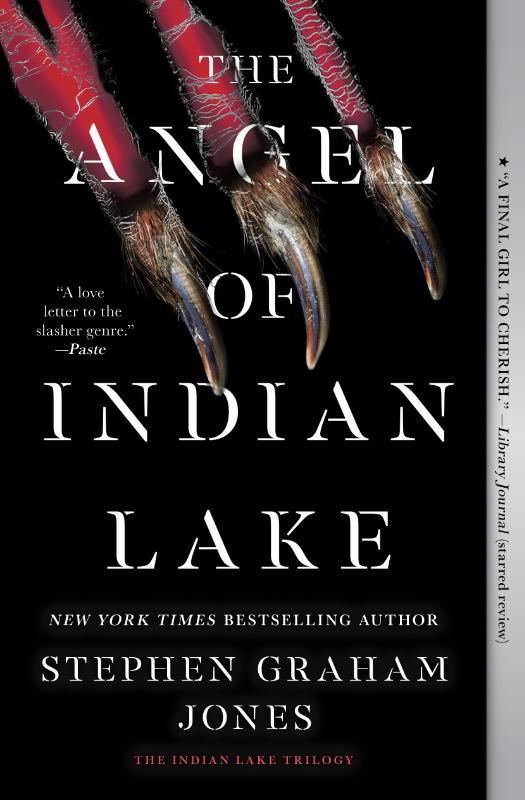 Jones, S: Angel of Indian Lake