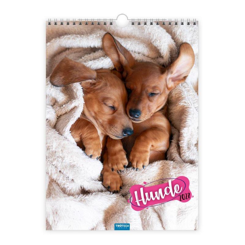 TRÖTSCH - Classickalender Hunde 2027 - Wandkalender