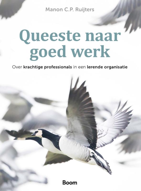 Queeste naar goed werk - Over krachtige professionals in een lerende organisatie