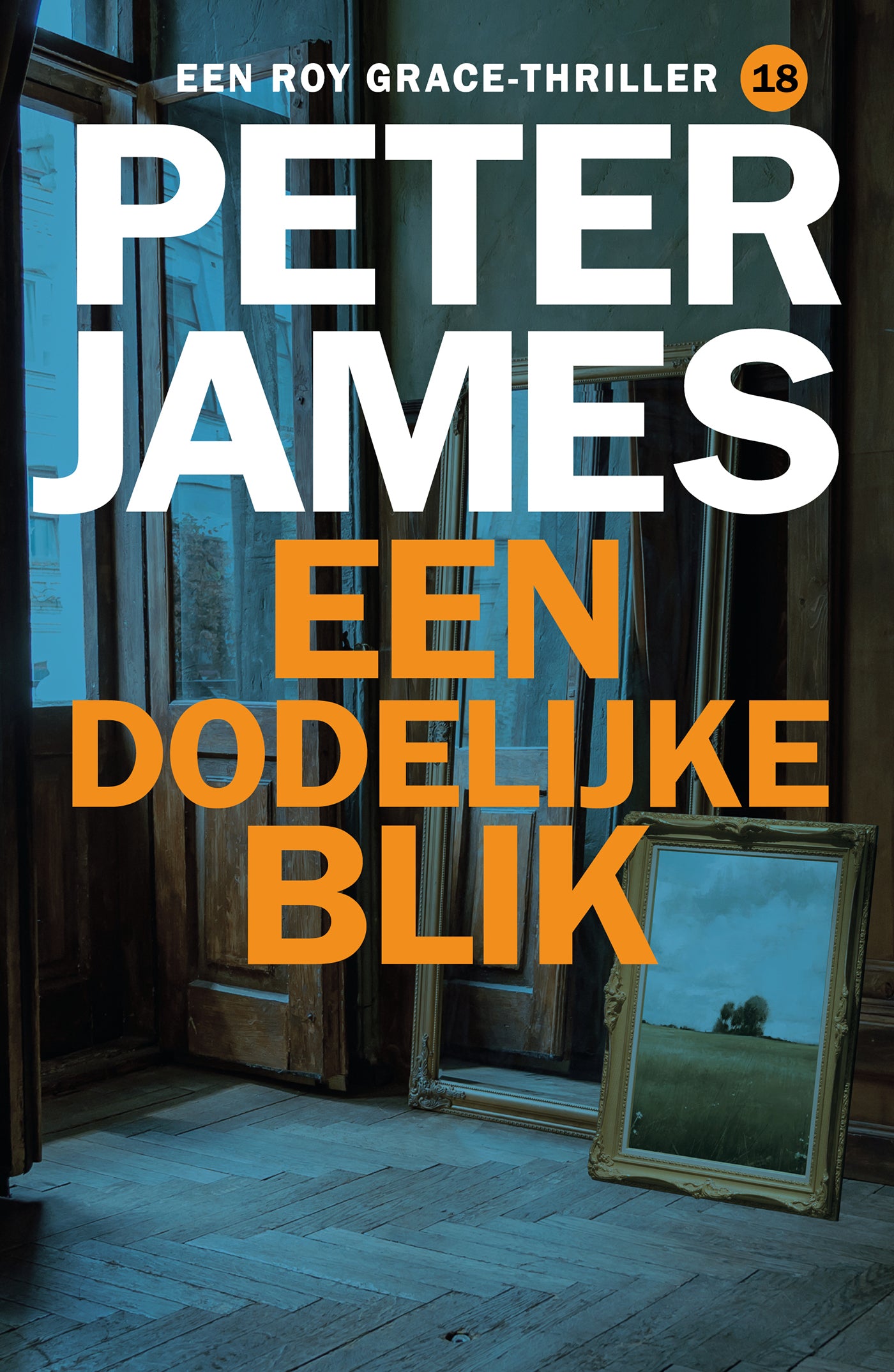 Een dodelijke blik