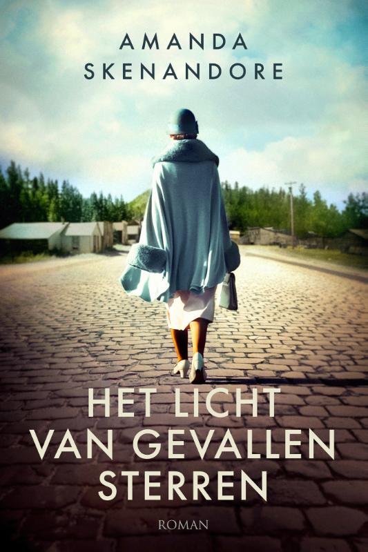 Het licht van gevallen sterren