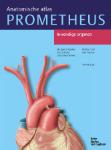 Prometheus Anatomische atlas 2 - 9789036816403