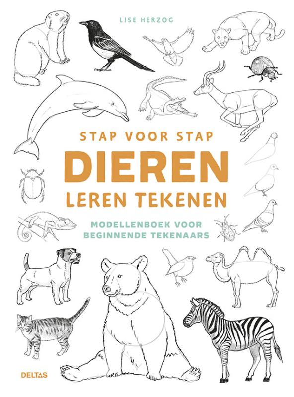 Stap voor stap dieren leren tekenen - Modellenboek voor beginnende tekenaars