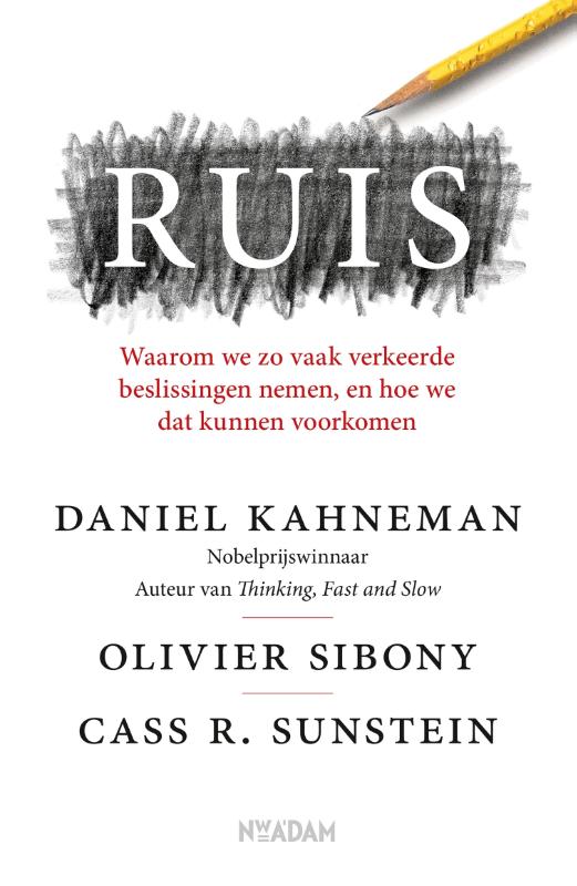 Ruis - Waarom we zo vaak verkeerde beslissingen nemen, en hoe we dat kunnen voorkomen
