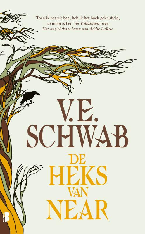 Boekomslag De heks van Near van V.E. Schwab – ISBN 9789049206123