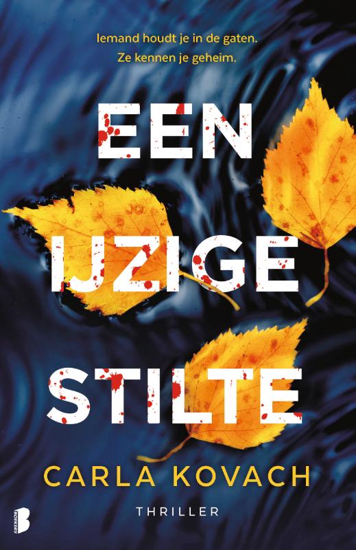 Een ijzige stilte - Iemand houdt je in de gaten. Ze kennen je geheim.
