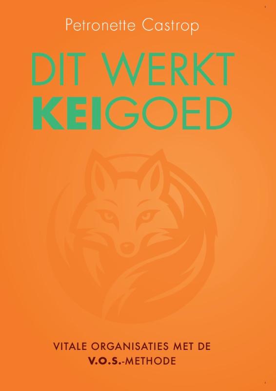 Dit werkt keigoed - Vitale organisaties met de V.O.S.-methode