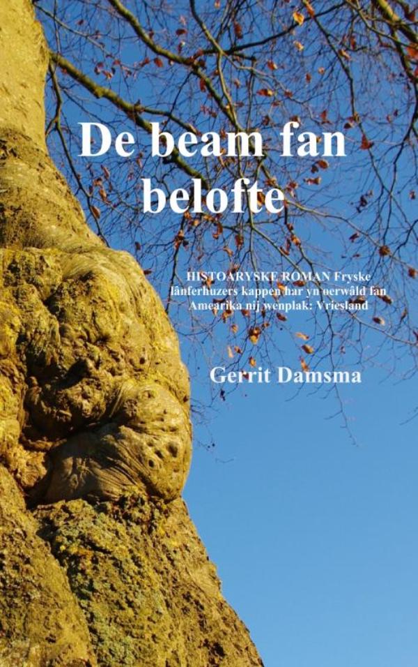 De beam fan belofte - Histoaryske roman fryske lânferhuzers kappen har yn oerwâld fan amearika nij wenplak: vriesland