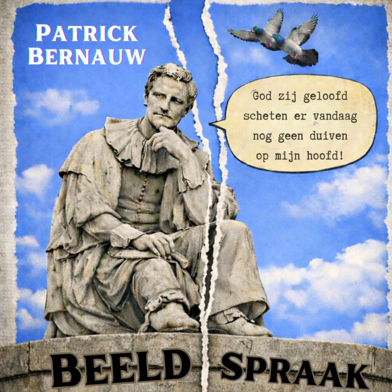 BeeldSpraak - Gecartooniseerde Collages