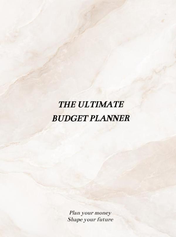 365 Days Budget Planner – Mrds Organizers