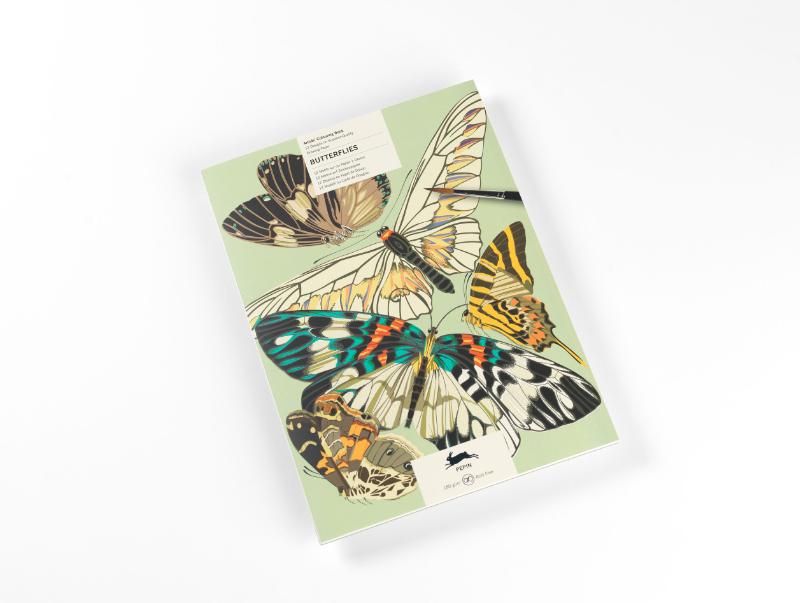 Butterflies - Artists' Colouring Book