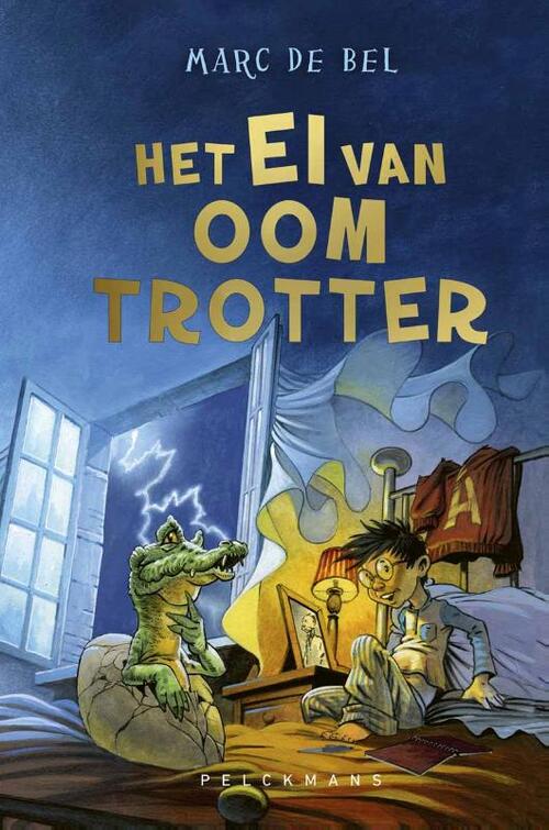Boekomslag voorkant 9789465303376