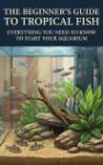 The Beginner's Guide to Tropical Fish - Everything You Need to Know to Start Your Aquarium