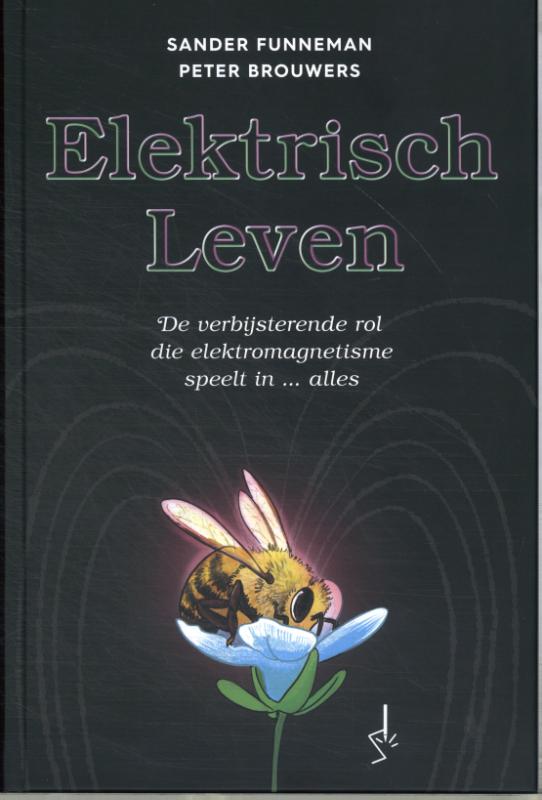 Elektrisch leven - De verbijsterende rol die elektromagnetisme speelt in ... alles