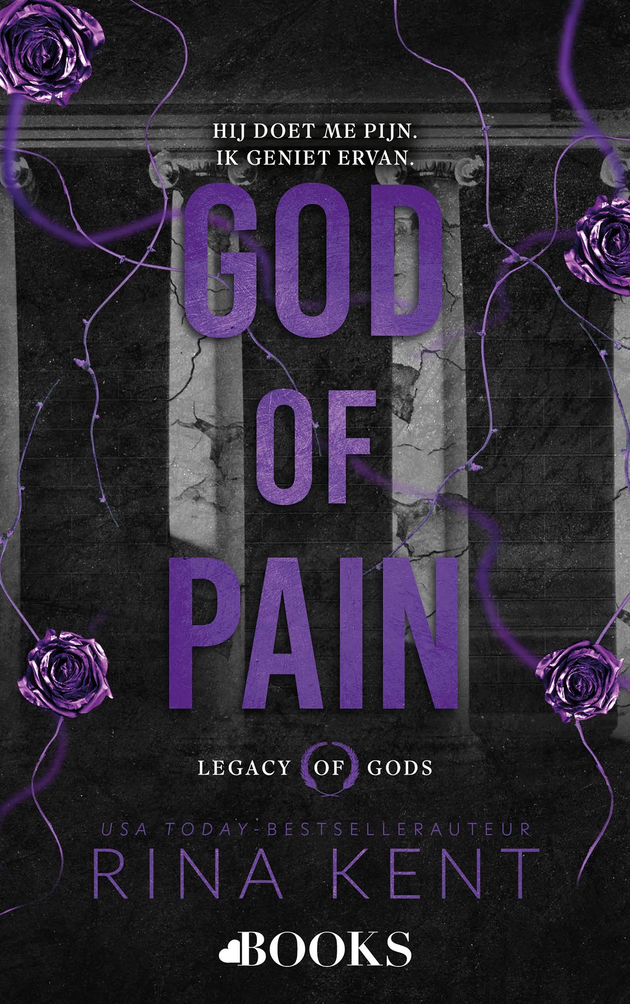 God of Pain - Rina Kent