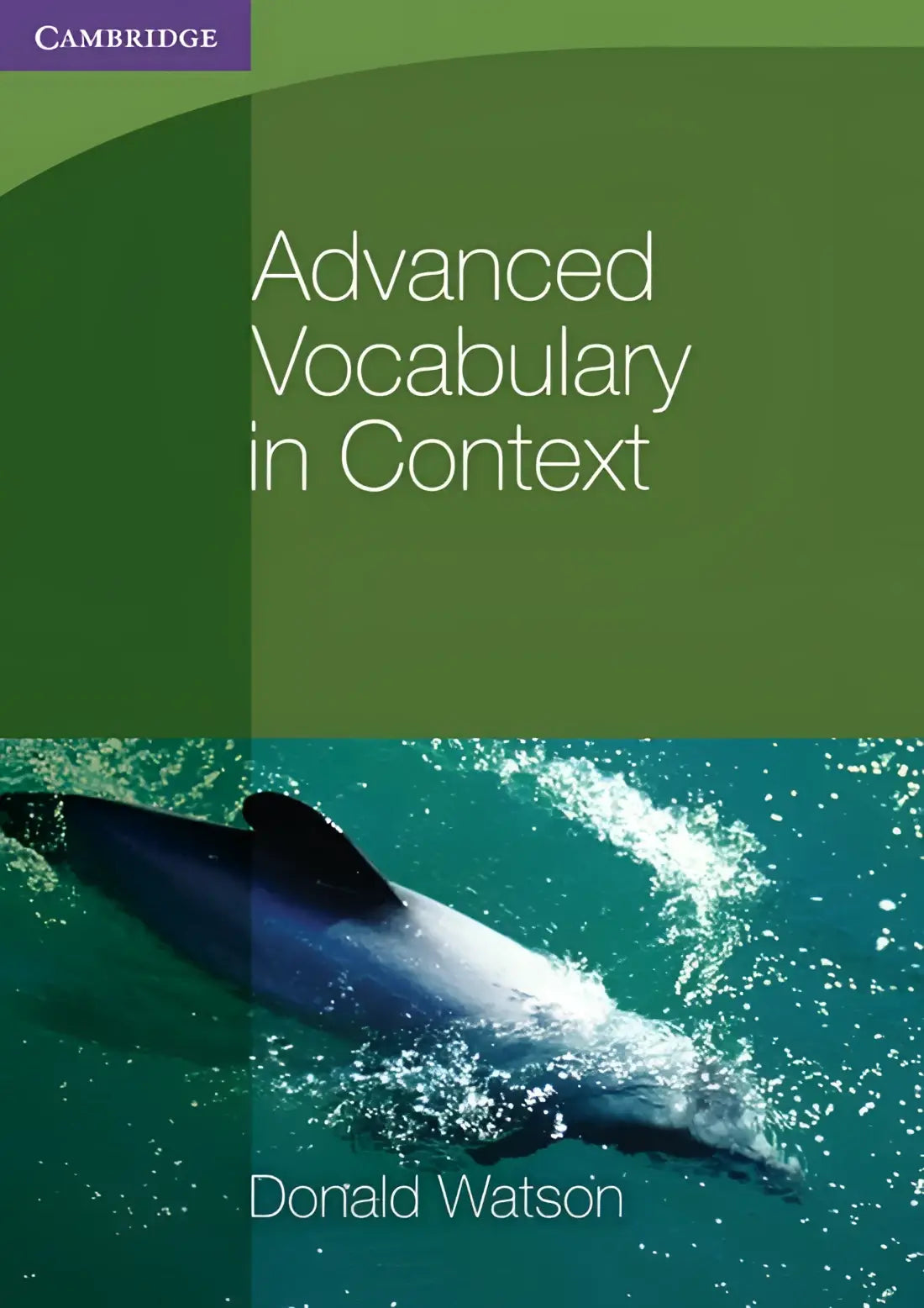 Advanced vocabulary in context - advanced vocabulary in context - boek