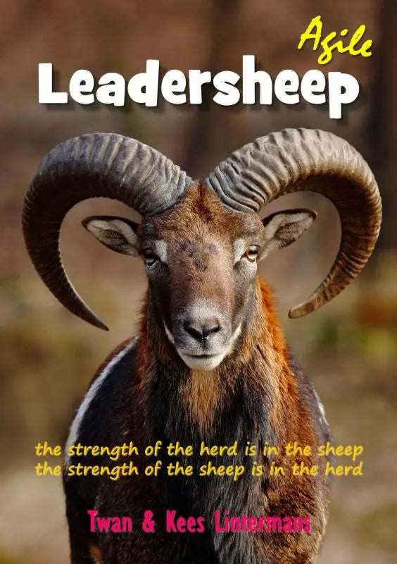 Een majestueuze bruine en zwarte ram met grote gekromde hoorns voor agile leadersheep productzicht