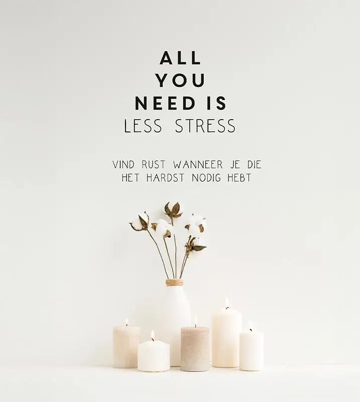Witte keramische vaas met katoentakken geschikt voor all you need minder stress decoratie