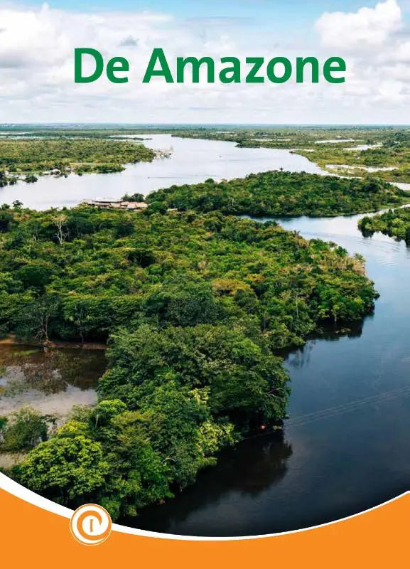 Aerial view of the amazon rainforest with winding rivers and lush green vegetation in het product de amazone