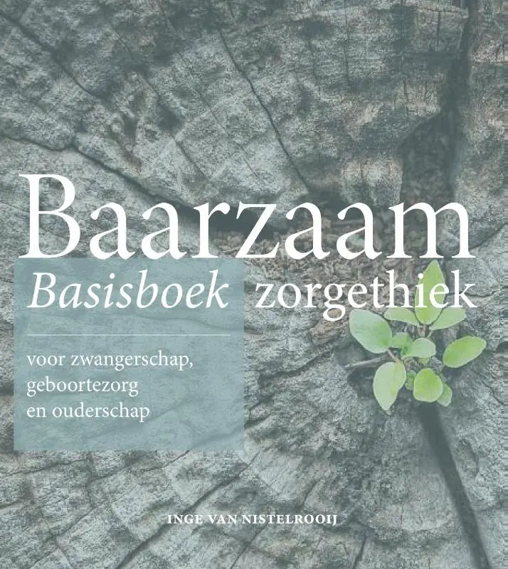 De boekcover van baarzaam basisboek zorgethiek toont witte seriflettertitel op grijze steen met groene blaadjes