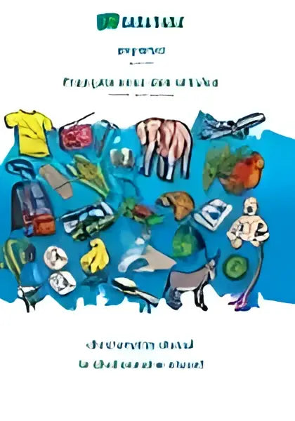 Kleurrijke cartoonwereldkaart met blauwe omtreklijnen en levendige patronen op babadada espanol-francais visueel woordenboek