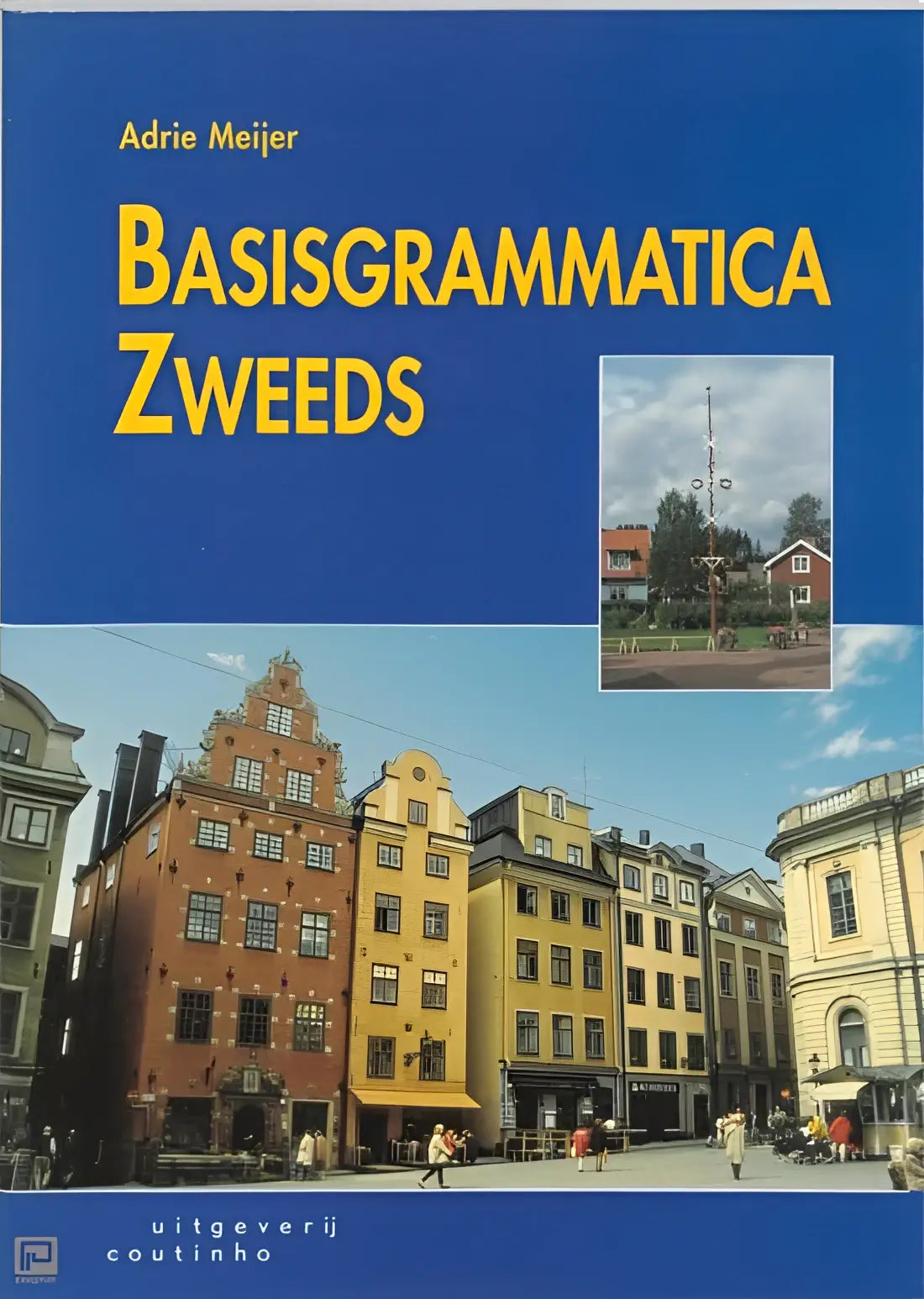 Basis grammatica zweeds - basis grammatica zweeds - boek