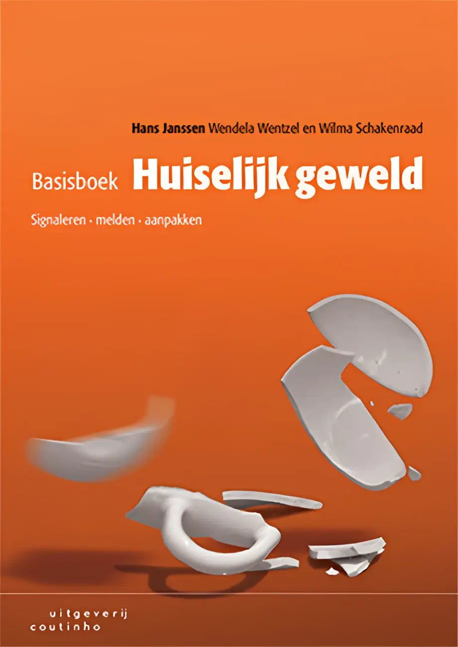 Basisboek huiselijk geweld: oranje kaft met witte gebroken scherfjes