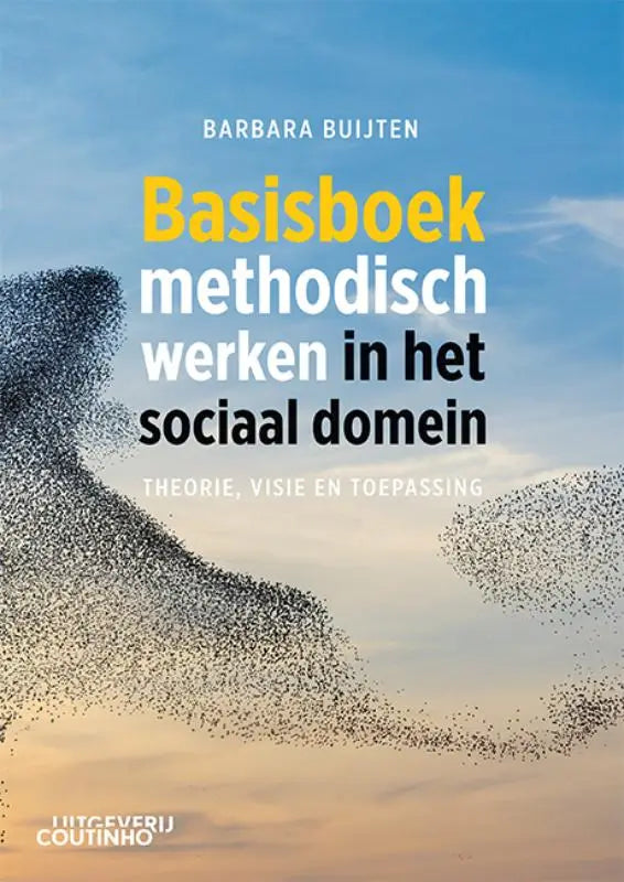 Boekcover Basisboek methodisch werken in het sociaal domein met blauwe achtergrond en zwarte vogelシルhouetten