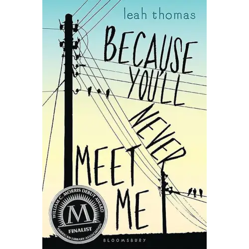 Because you’ll never meet - because you’ll never meet me - boek