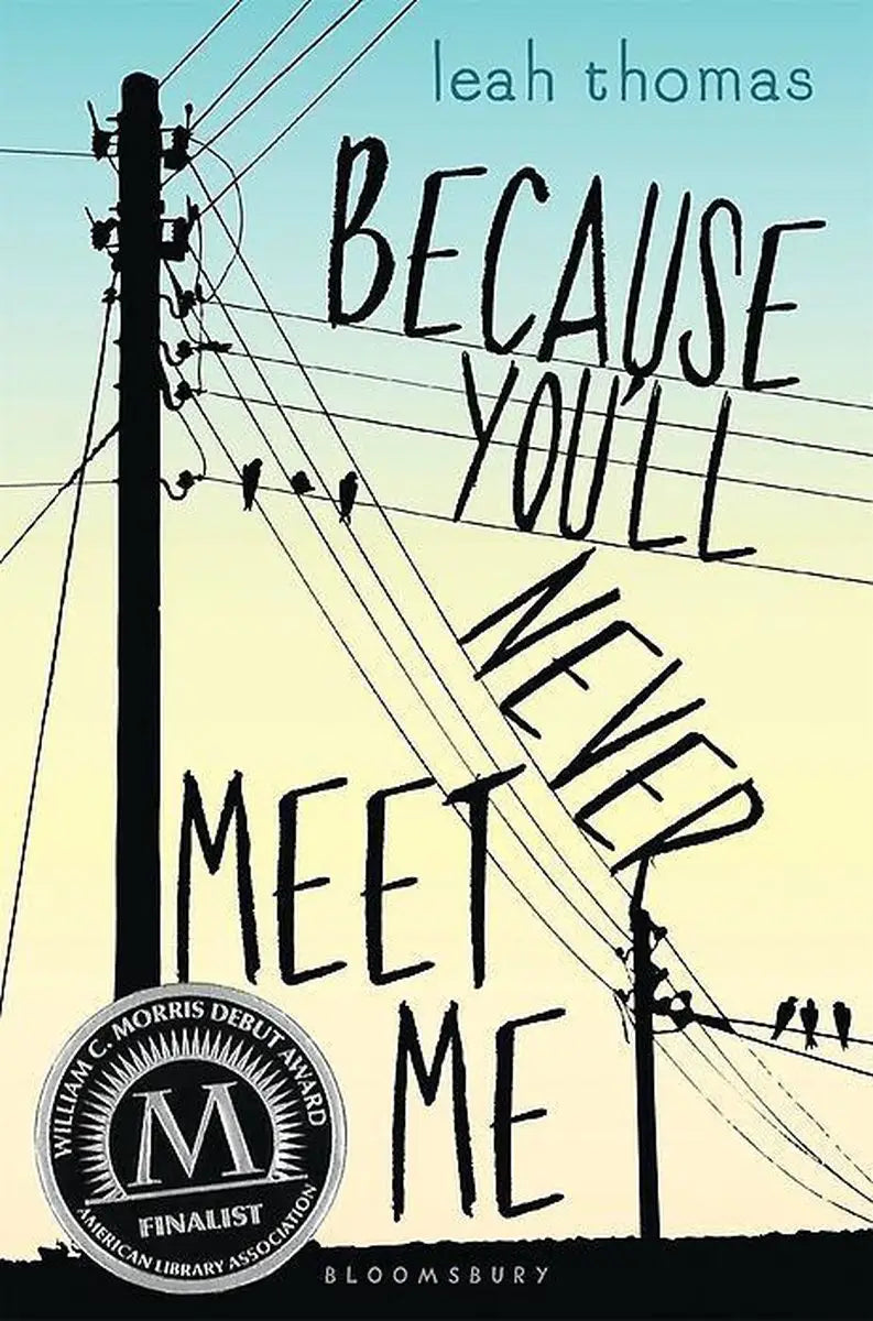 Because you’ll never meet - because you’ll never meet me - boek