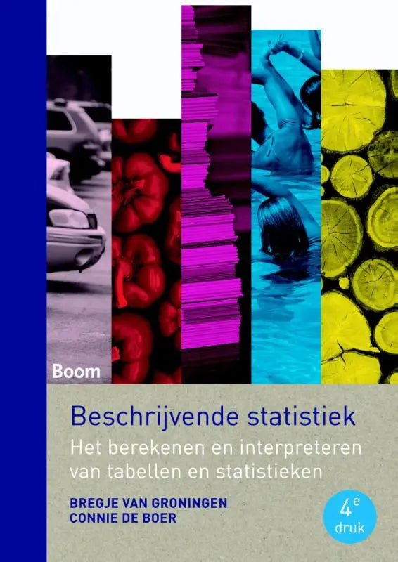 De boekcover van beschrijvende statistiek toont een levendige collage met magenta, cyaan, geel en rode strepen op grijze achtergrond