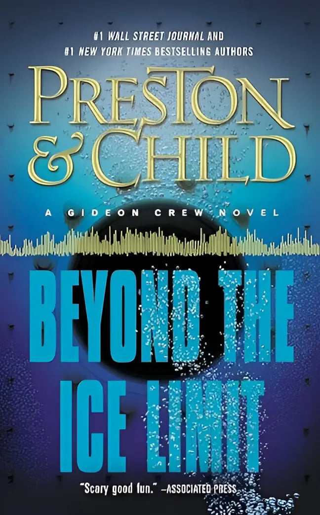 De boekcover van beyond the ice limit toont de titel in blauwe letters met een donker vliegtuig silhouet en een ijzige achtergrond