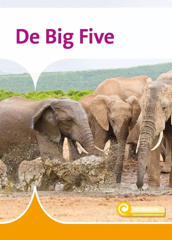 Een groep olifanten met grijze gerimpelde huid bij een modderpoel in het boek de big five voor jonge lezers