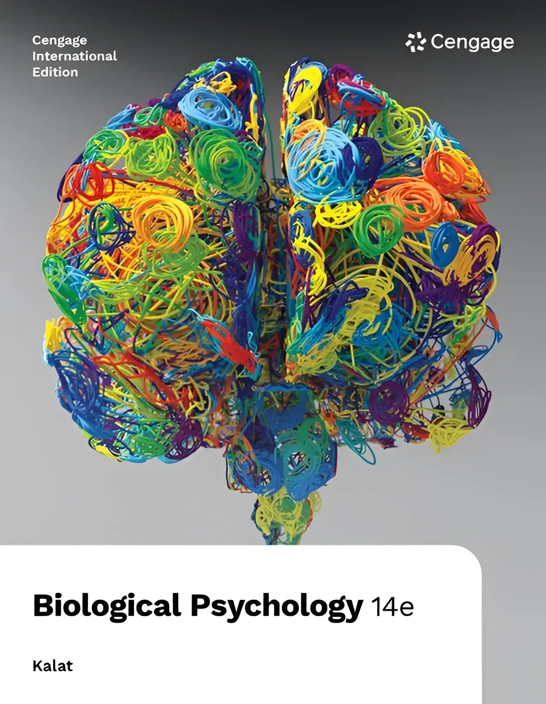 Biologische psychologie internationale editie boek met levendige breinsculptuur van meerkleurige garens in blauw, groen en oranje
