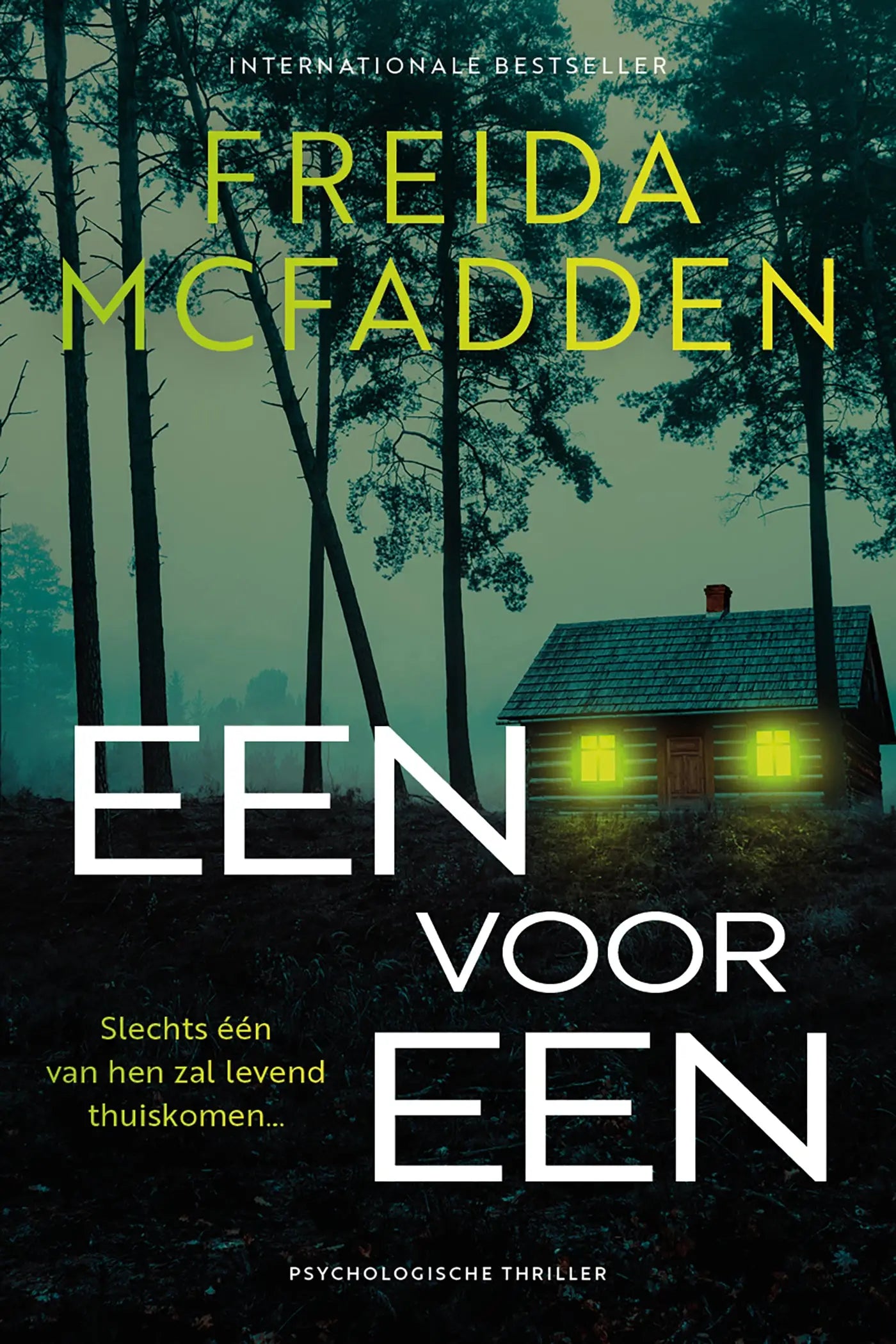 Donkere houten hut met gloeiende gele ramen in mistig bos voor freida mcfadden psychologische thriller één verdwijnt