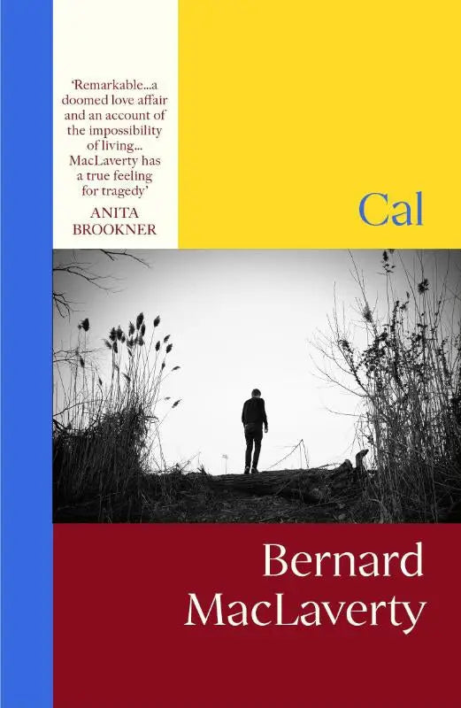 Gele en blauwe hardcover boek cal door bernard maclaverty met zwart-witfoto van een figuur op een heuvel vintage classics