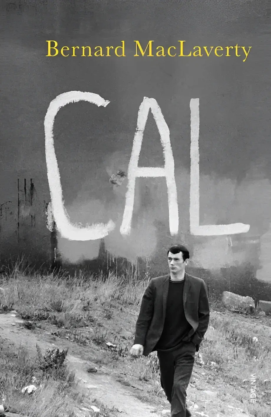 Cal (penguin classic) - cal (penguin classic) - boek