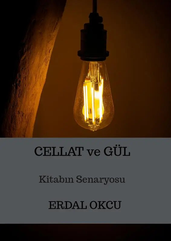 Een warm gloeiend edisonlampje met zichtbare gloeidraad hangt aan een zwarte metalen armatuur in cellat ve gÜl kitabın senaryosu