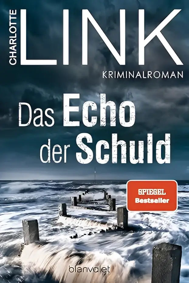 De boekcover van das echo der schuld door charlotte link toont dramatische brekende golven en gebroken houten palen onder een stormachtige lucht