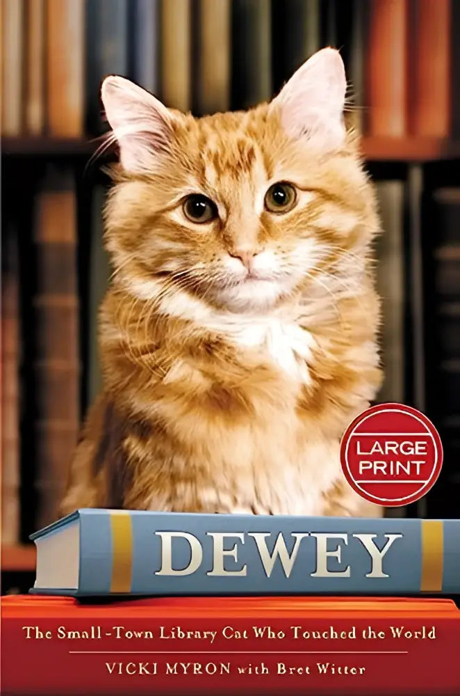 Een grote letter editie van Dewey de kleine bibliotheekkat met een zachte, ginger tabby kat op de kaft