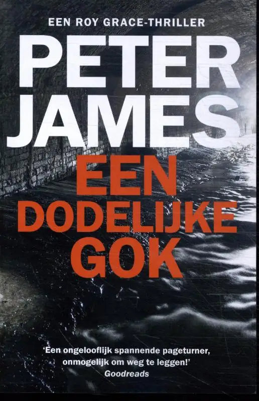 Boekcover van een dodelijke gok met witte en oranje tekst op een donkere achtergrond met stromend water over steen
