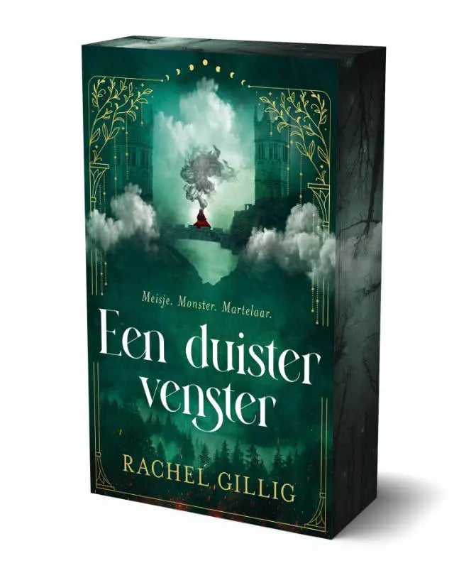 Donkergroene hardcover van een duister venster door rachel gillig met goudfolie en kasteelillustratie uit the shepherd king