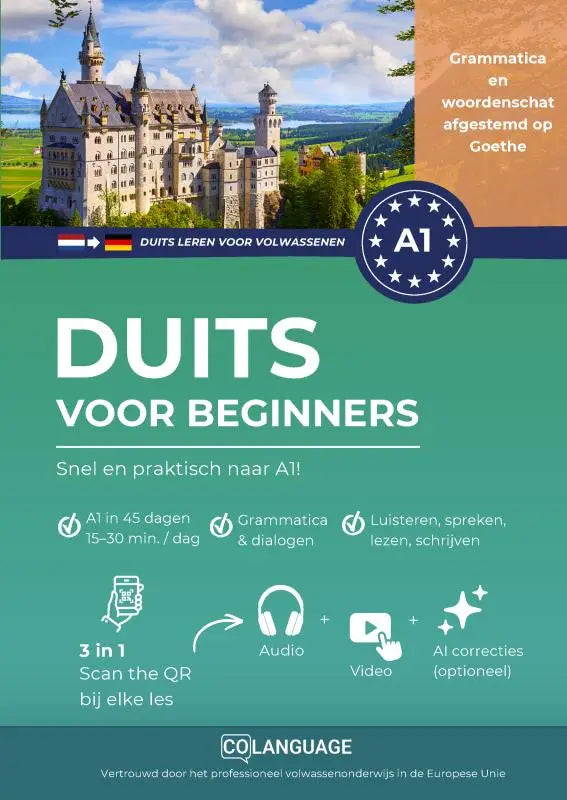 Teal duits leren boek voor beginners met kasteel afbeelding en witte tekst leert via audio grammatica en dialogen