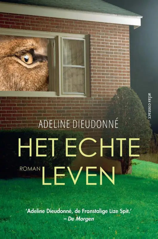 Strak boekcover van vertaalde literaire roman het echte leven van adeline dieudonné met kattenoog en bakstenen huis